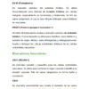 IHC Essentials Spanish