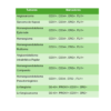 IHC Essentials Spanish