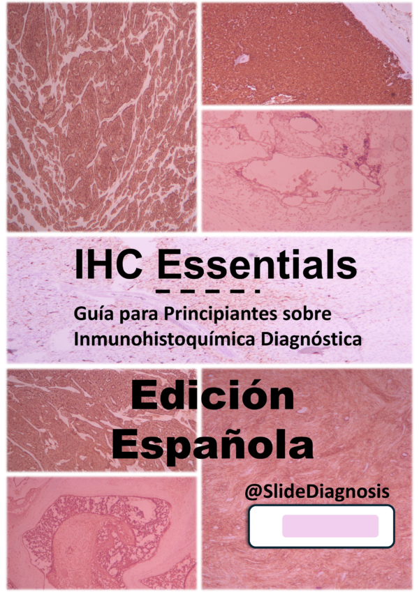IHC Essentials Spanish