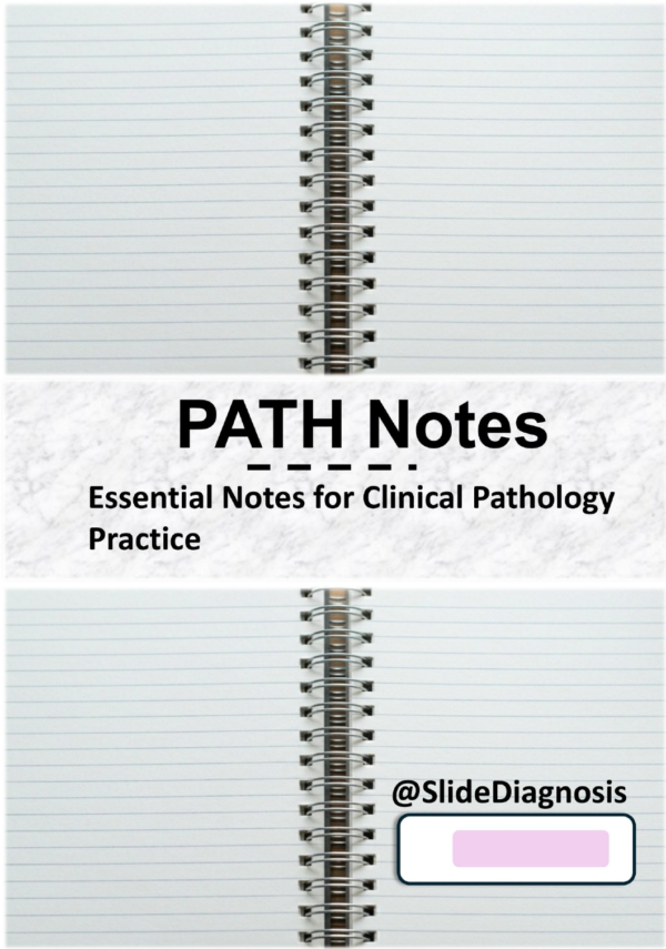 Captura de pantalla 2026-04-16 063638 PATH Notes