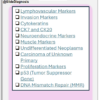 PATH Master Pack